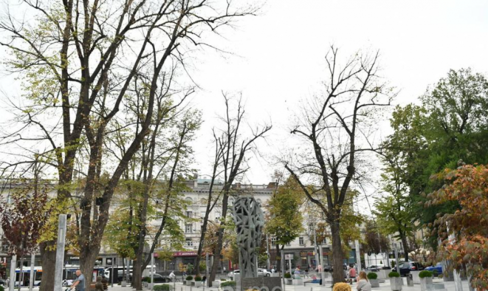 FOTO // Troturarele lui Ion Ceban omoară copacii din centrul Capitalei